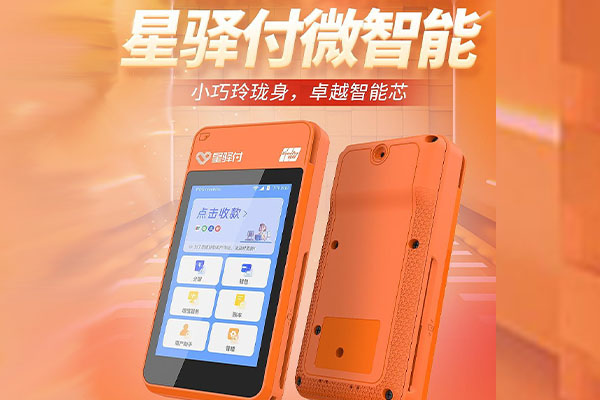 陇西国通微电签POS机